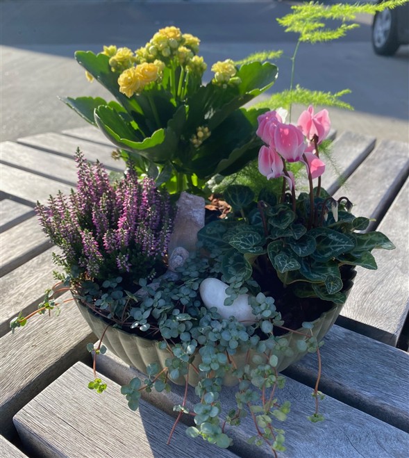 Blomstrende sammenplantning